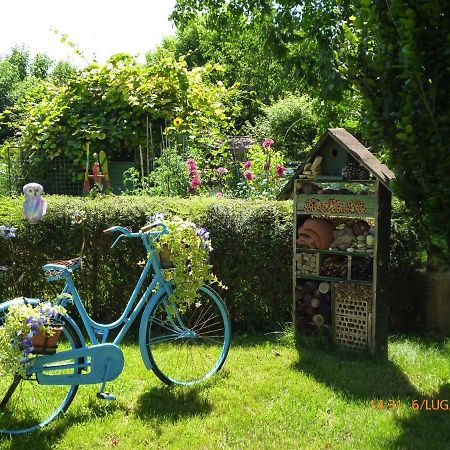 Bed&Bike Belfiore Montagnana  Eksteriør bilde