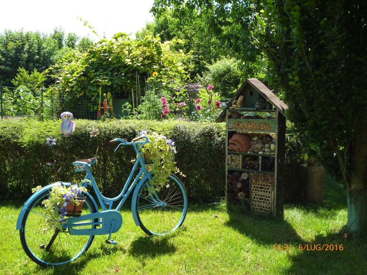 Bed&Bike Belfiore Montagnana  Eksteriør bilde